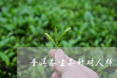 普洱茶生茶针对人群/2023091482614