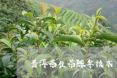 普洱茶生茶陈年技术/2023070972705