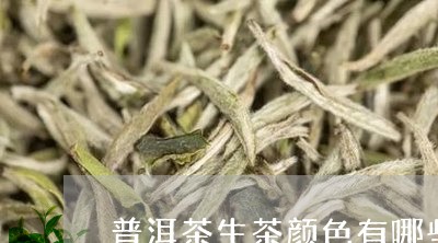 普洱茶生茶颜色有哪些/2023120691593