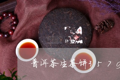 普洱茶生茶饼357g/2023062220691