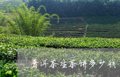 普洱茶生茶饼多少钱/2023071099260