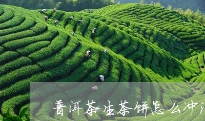 普洱茶生茶饼怎么冲泡/2023100752837