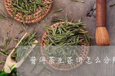 普洱茶生茶饼怎么分辨/2023062890684