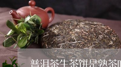 普洱茶生茶饼是熟茶吗/2023080361793