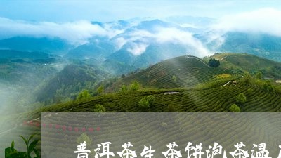 普洱茶生茶饼泡茶温度/2023080332927