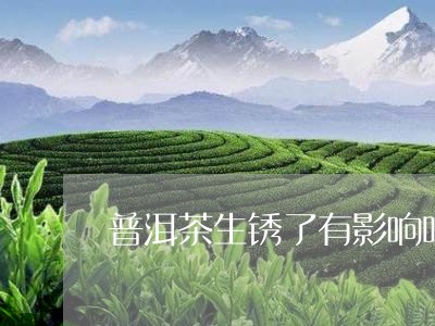 普洱茶生锈了有影响吗/2023093041504