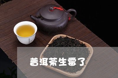 普洱茶生霉了/2023042943011