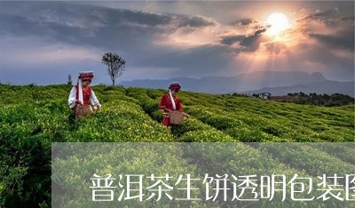 普洱茶生饼透明包装图片/2023121761594