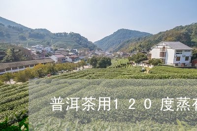 普洱茶用120度蒸有影响吗/2023052761907