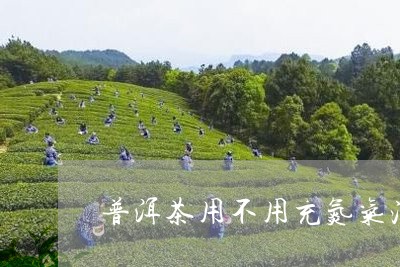 普洱茶用不用充氮气泡水/2023112826037