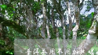 普洱茶用不用加热喝好/2023121767573