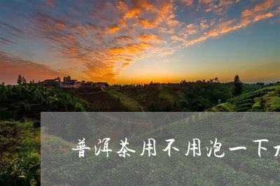 普洱茶用不用泡一下水喝/2023112830390