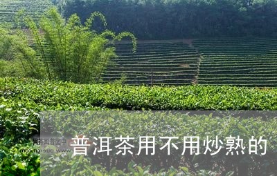 普洱茶用不用炒熟的/2023121769493