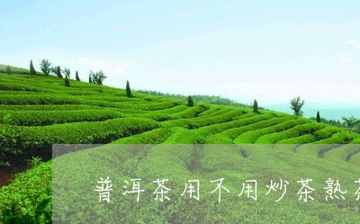 普洱茶用不用炒茶熟茶/2023110764047