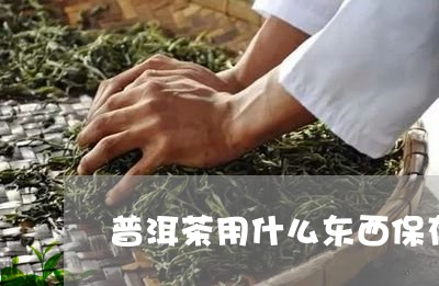 普洱茶用什么东西保存最好喝/2023083048360