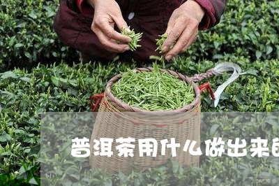 普洱茶用什么做出来的好/2023102541692