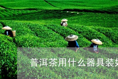 普洱茶用什么器具装好呢/2023110355927