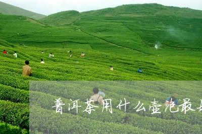 普洱茶用什么壶泡最好喝又健康/2023083001905