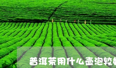 普洱茶用什么壶泡较好喝/2023110195392