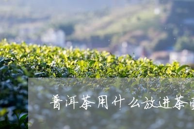 普洱茶用什么放进茶壶/2023100571474