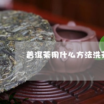 普洱茶用什么方法洗茶/2023100712758