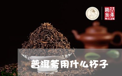 普洱茶用什么杯子/2023080301837