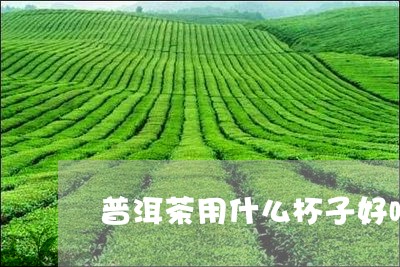 普洱茶用什么杯子好喝/2023100803970