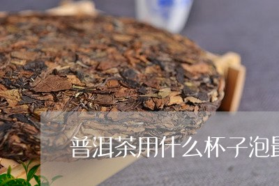 普洱茶用什么杯子泡最好呢/2023121758483