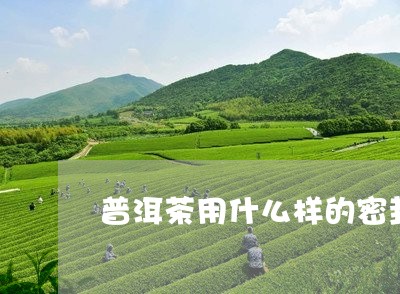 普洱茶用什么样的密封袋好/2023110252503