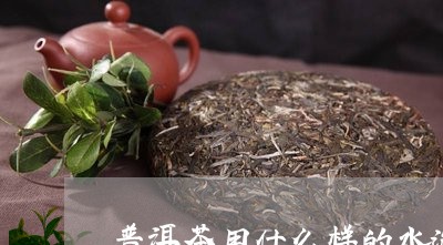 普洱茶用什么样的水泡比较好/2023052846171