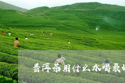 普洱茶用什么水喝最好/2023061864838