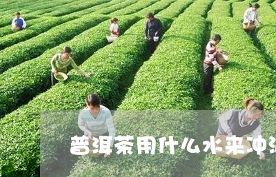 普洱茶用什么水来冲泡清普洱茶/2023053002159