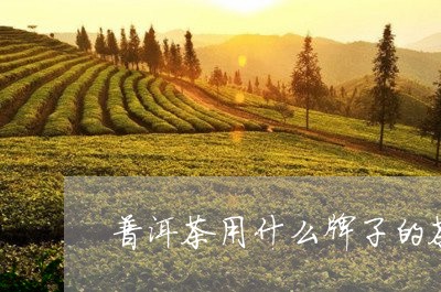 普洱茶用什么牌子的茶饼好/2023110294715