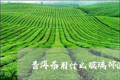 普洱茶用什么玻璃杯泡/2023072108471