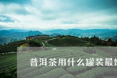 普洱茶用什么罐装最好/2023100521606