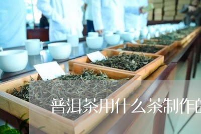 普洱茶用什么茶制作的/2023100769594