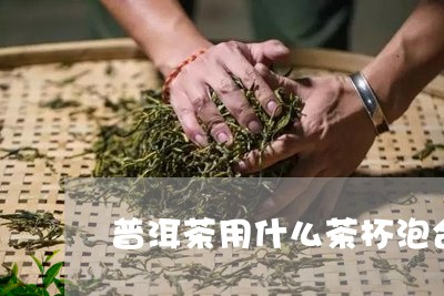 普洱茶用什么茶杯泡合适/2023110173857