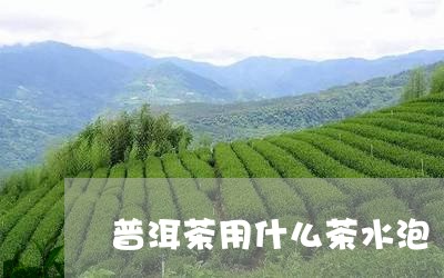 普洱茶用什么茶水泡/2023120536258