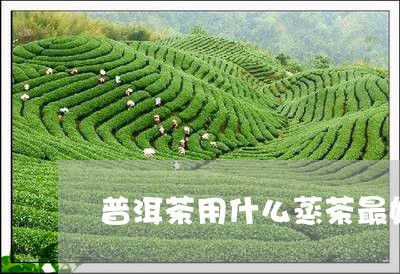 普洱茶用什么蒸茶最好/2023081687360