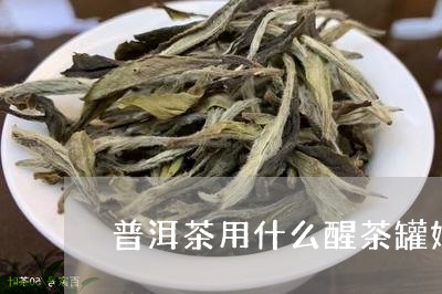 普洱茶用什么醒茶罐好/2023072447268