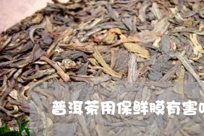 普洱茶用保鲜膜有害吗/2023072288612