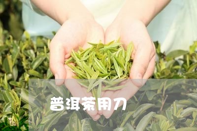 普洱茶用刀/2023090525259