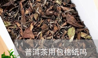 普洱茶用包棉纸吗/2023110997361