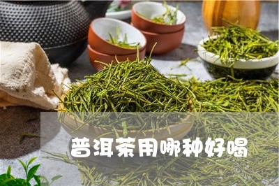 普洱茶用哪种好喝/2023110735827