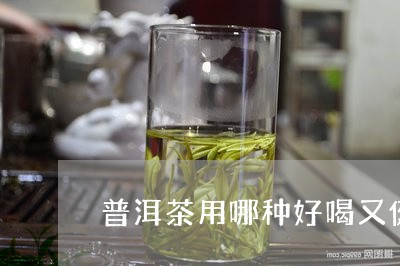 普洱茶用哪种好喝又健康/2023112773705