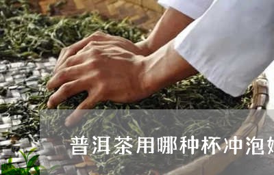 普洱茶用哪种杯冲泡好/2023062177282