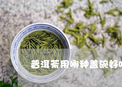 普洱茶用哪种盖碗好喝点/2023082594025