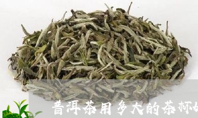 普洱茶用多大的茶杯好喝/2023121774935