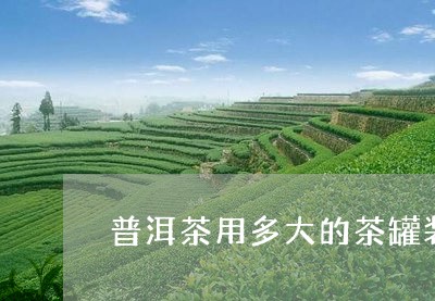 普洱茶用多大的茶罐装最好/2023083083016