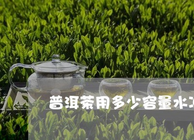 普洱茶用多少容量水冲/2023083092706